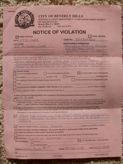 NOTICE OF VIOLATION (400k image)